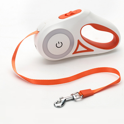 Light Up Dog Leash