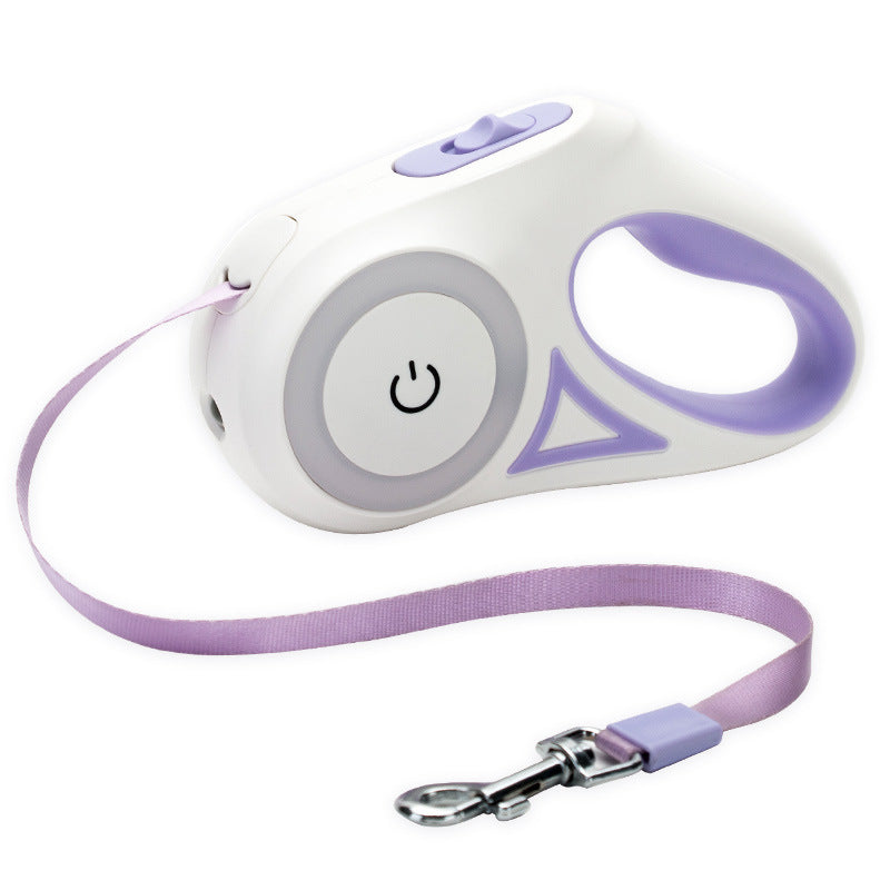 Light Up Dog Leash
