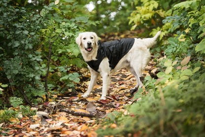 US Army Packable Dog Raincoat Black