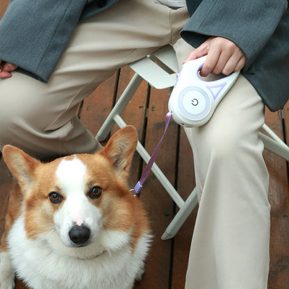 Light Up Dog Leash