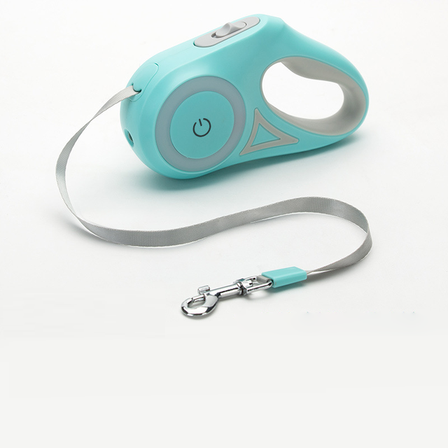 Light Up Dog Leash